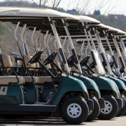 Himax-Golf-car-battery