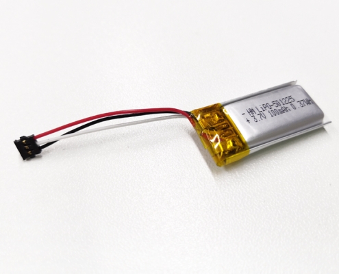 Li-polymer Battery