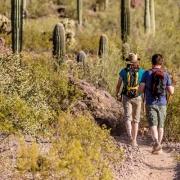 Himax - Camping-Trips