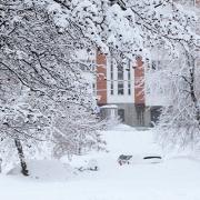 Low Temperatures Article illustrations