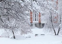 Low Temperatures Article illustrations