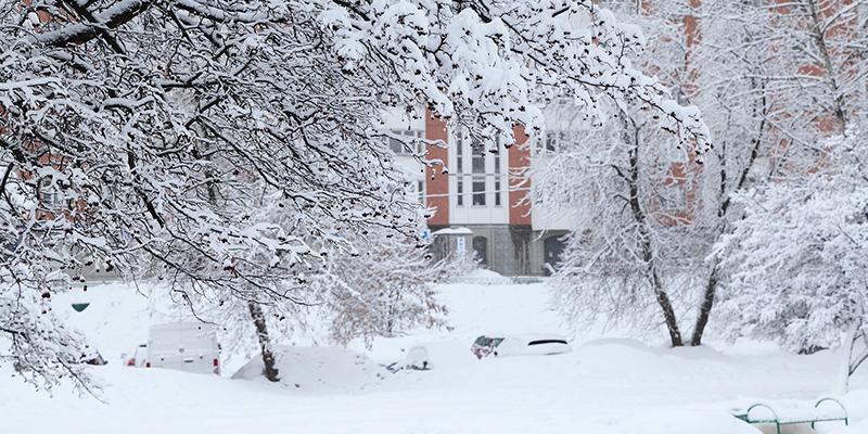 Low Temperatures Article illustrations