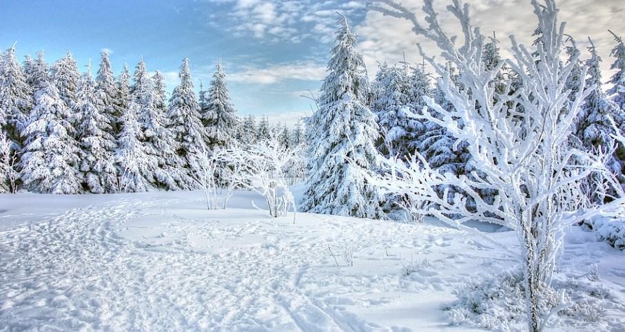 Low Temperature Battery