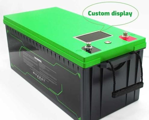 lifepo4 battery 24v 100ah